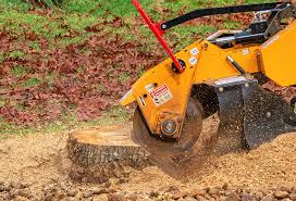 Soil Testing and Treatment in Blakely, GA